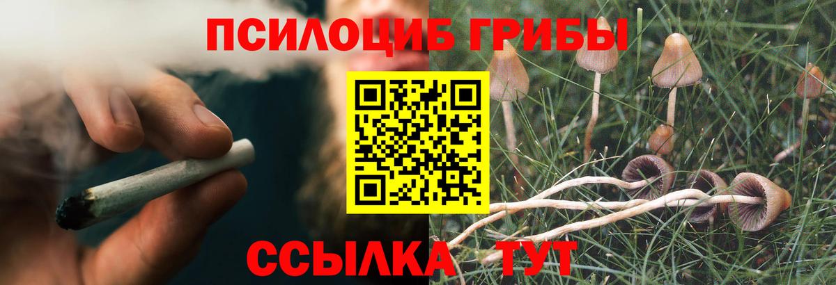 Галлюциногенные грибы GOLDEN TEACHER Усть-Джегута